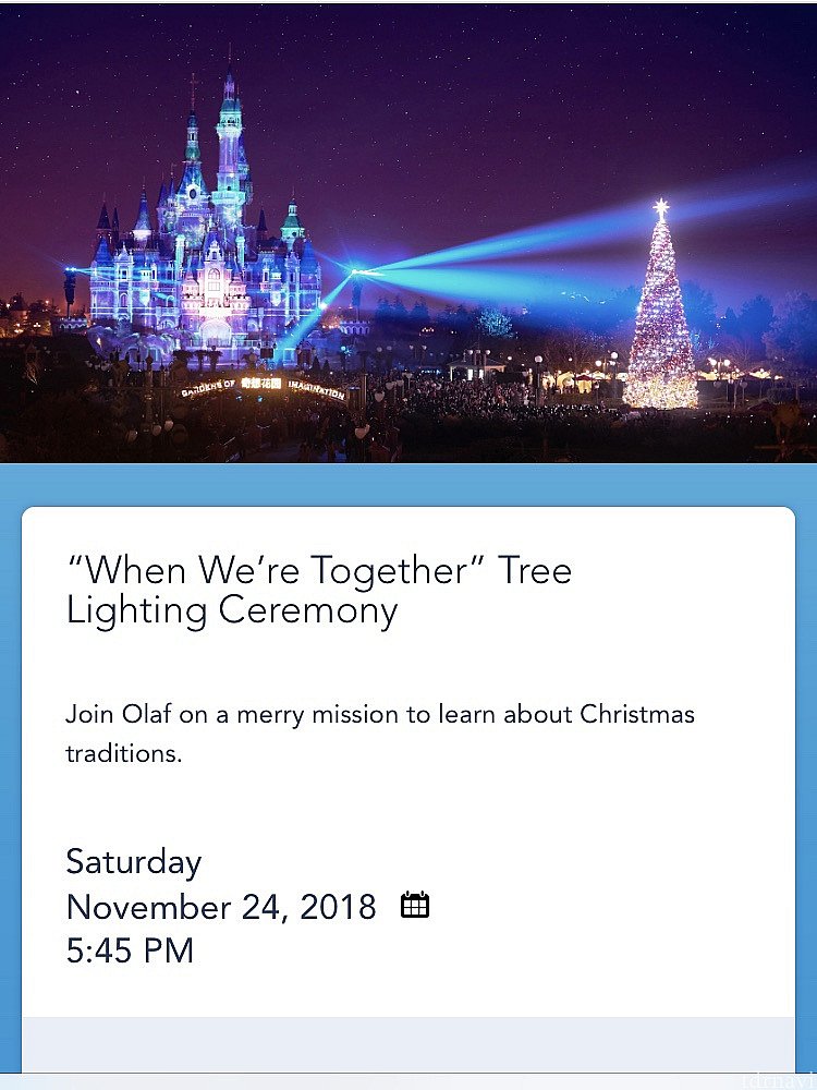 ⑤“When We’re Together” Tree Lighting Ceremony