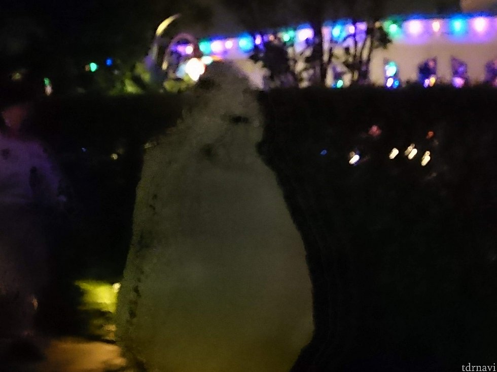 暗闇のブギー。遠くから歩いてくるのをみると貫禄を感じました。