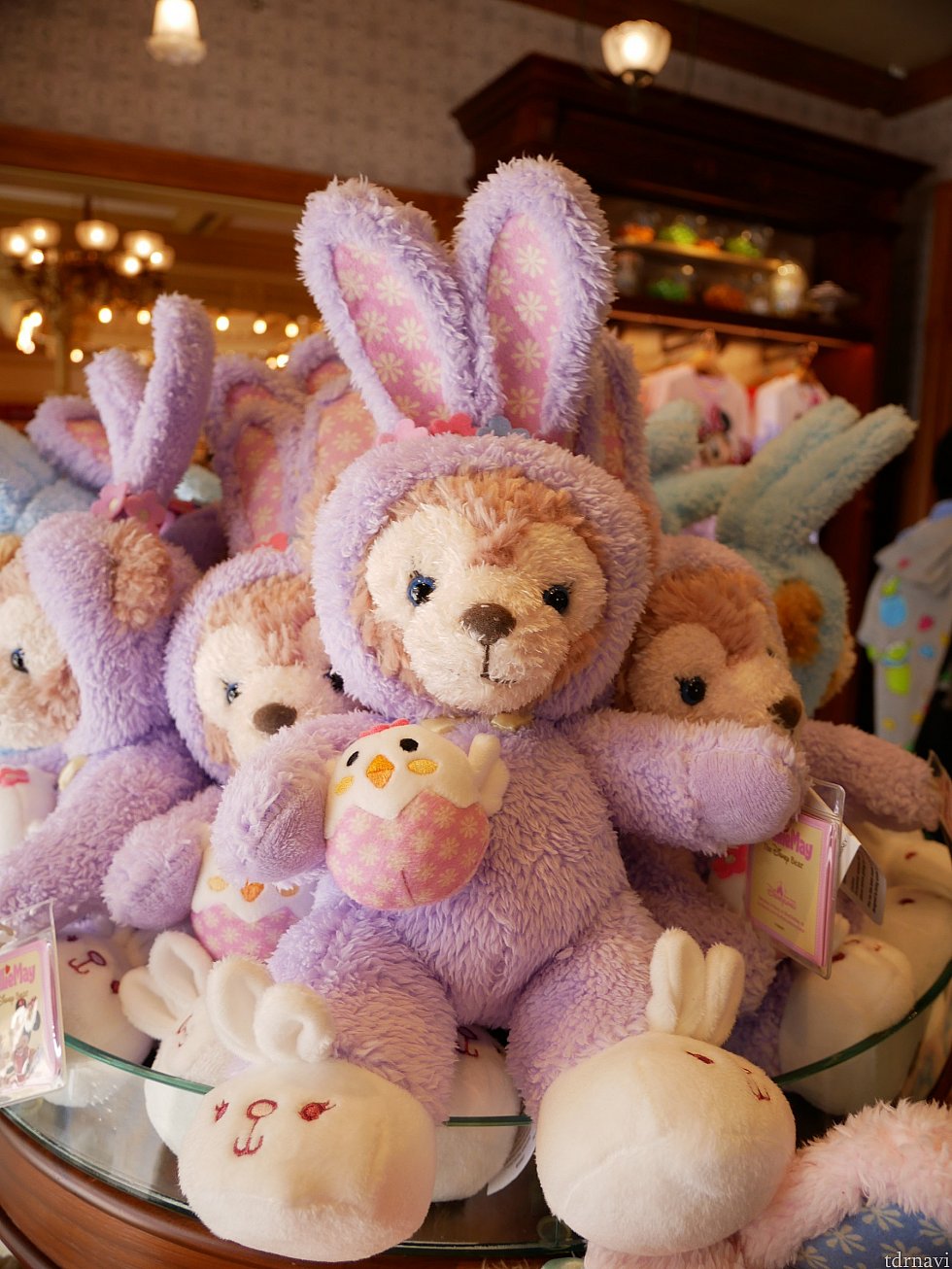 今年はダッフィーたちがそれぞれぬいぐるみを持ってます😍靴もかわいい💕
