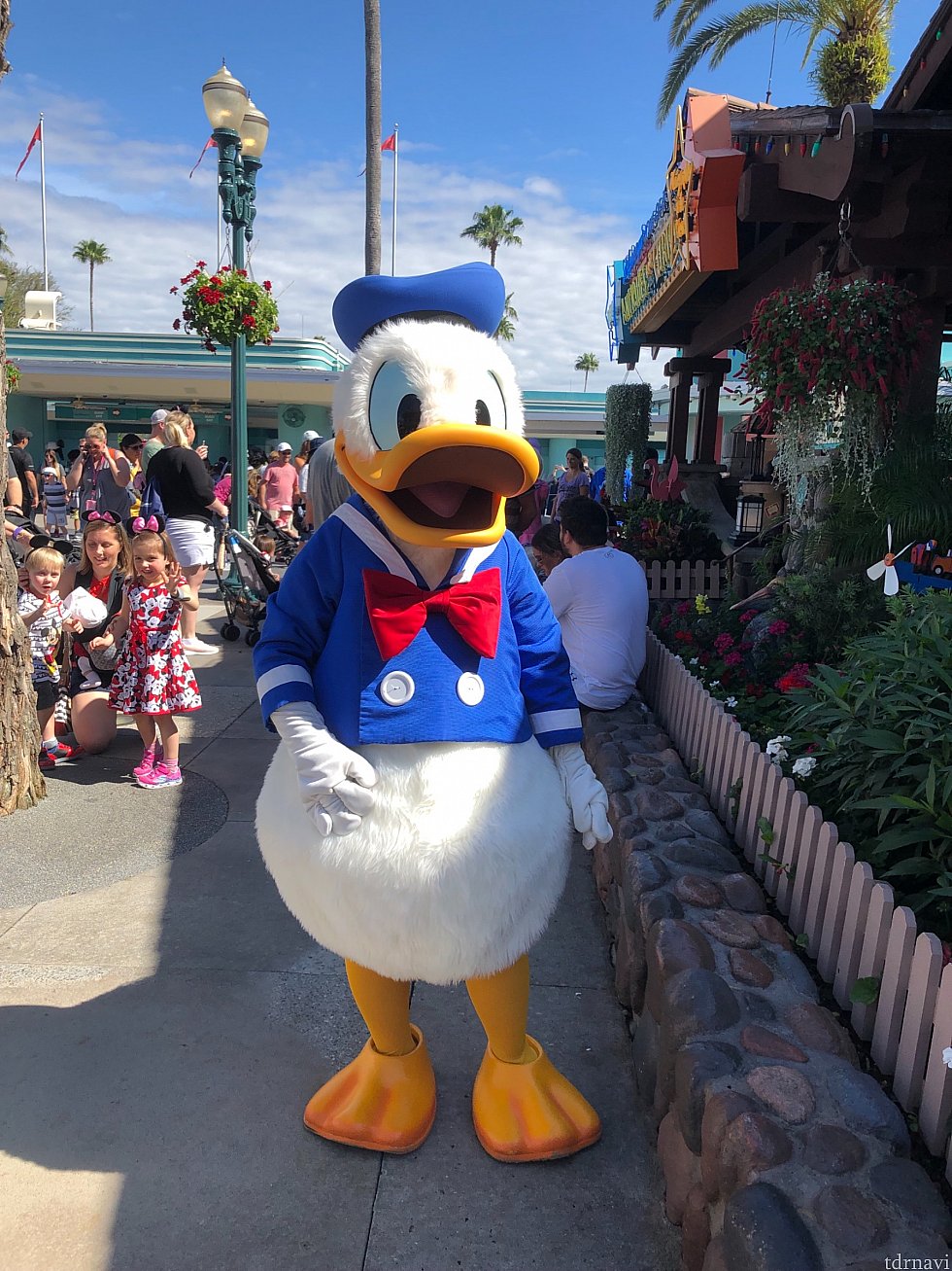 Donald Duck
ドナルドにハグすると何かいいことが起こるかもしれない?行ってからのお楽しみに(*^^*)