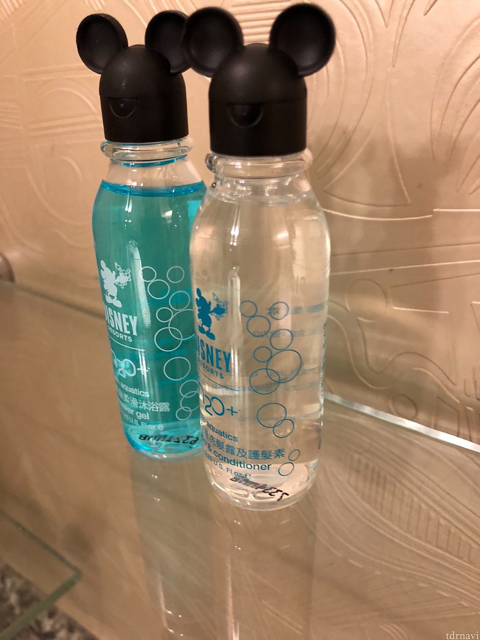 他の海外パークと同じタイプ。