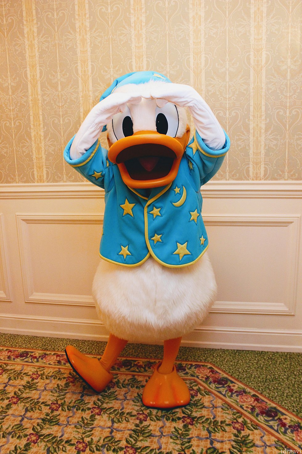 パジャマグリーティングはドナルドでした✨