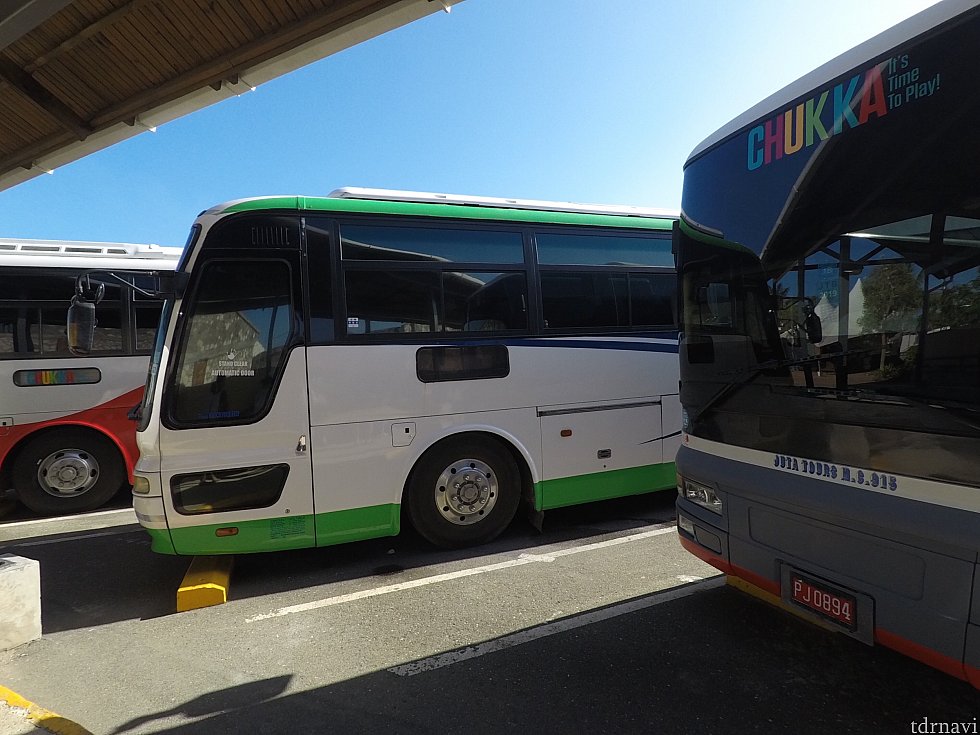 他のアクティビティへ行く人もだいたいバスで向かうようです。