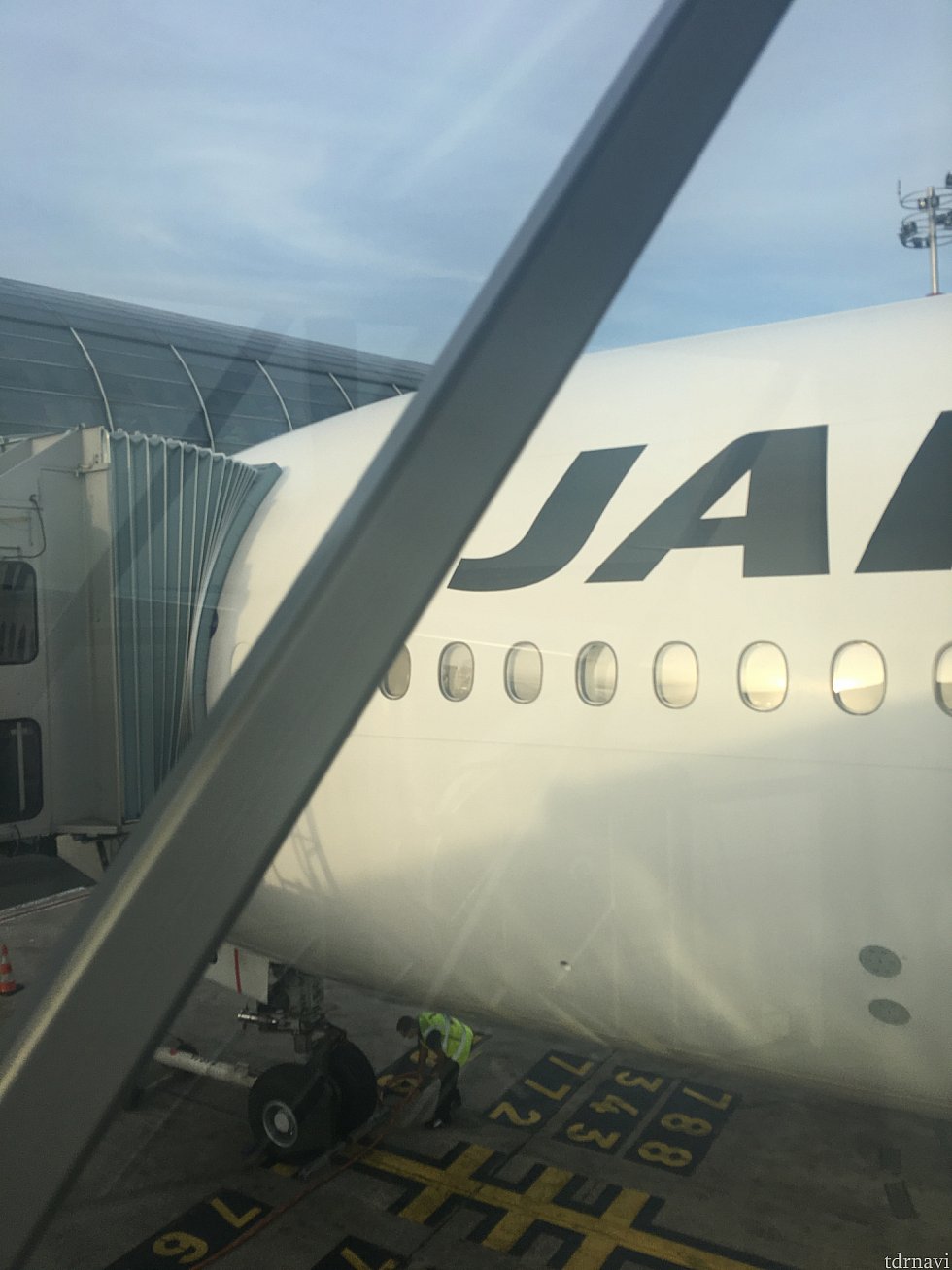 この機材で帰国します!