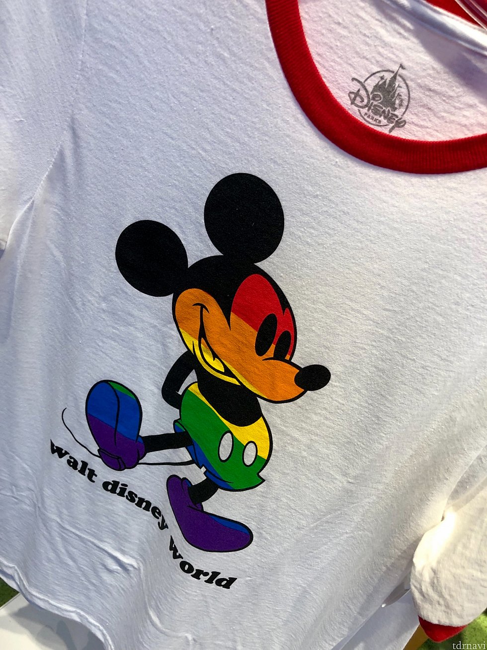 シンプルと言えばシンプルですが、きちんとWDWのロゴも入っています。