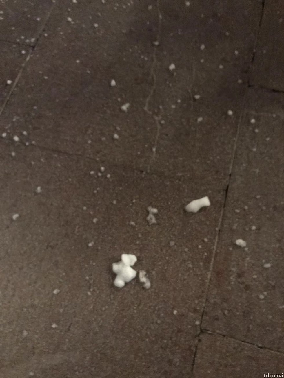 結構大量に降ってました!冷たかったです(笑)