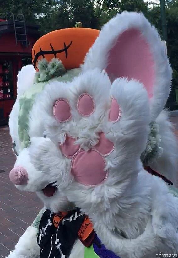 ハイタッチ🖐