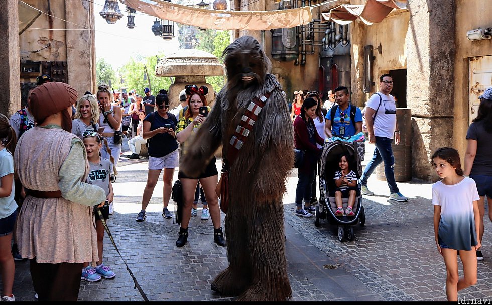 さて、お次はレジスタンス側です。
ギャラクシーズ・エッジのマーケットでチューイに遭遇。この日は本当に暑かったので、中の人についつい同情…