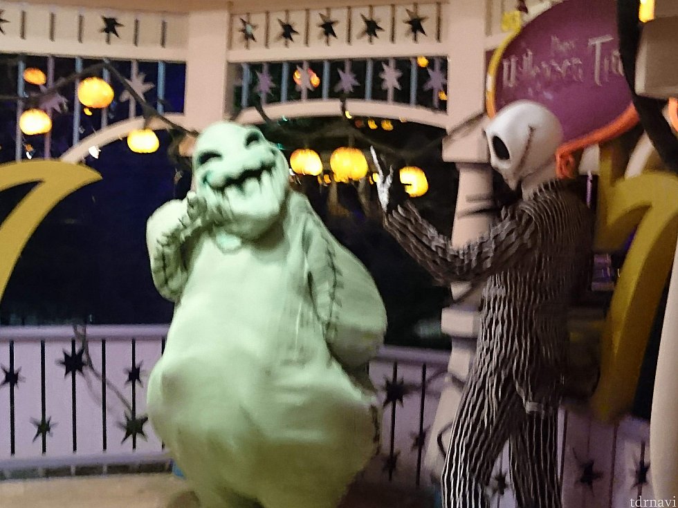 グリの合間はじゃれてる。