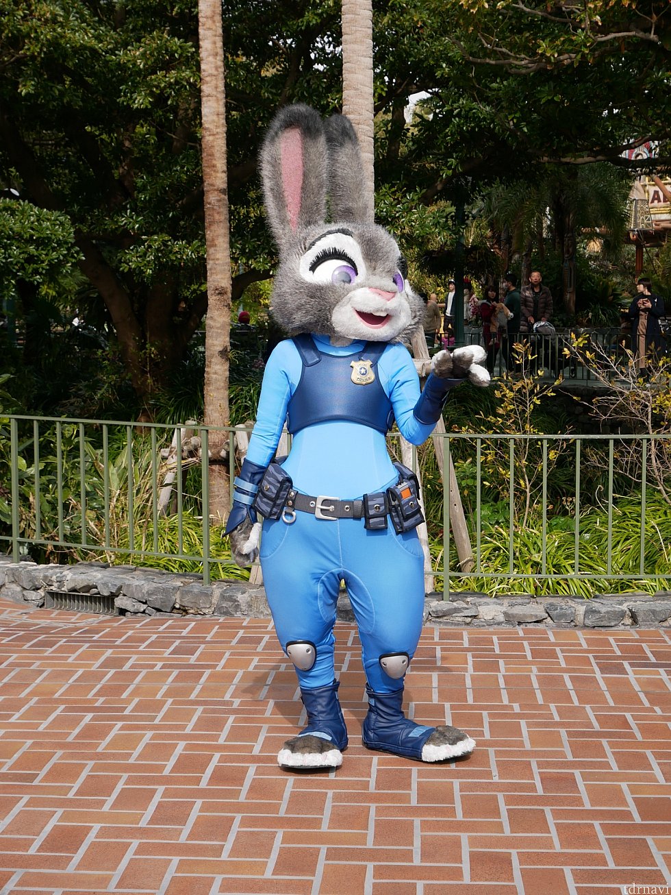 観賞スペースからはこんな感じで写真が取れます