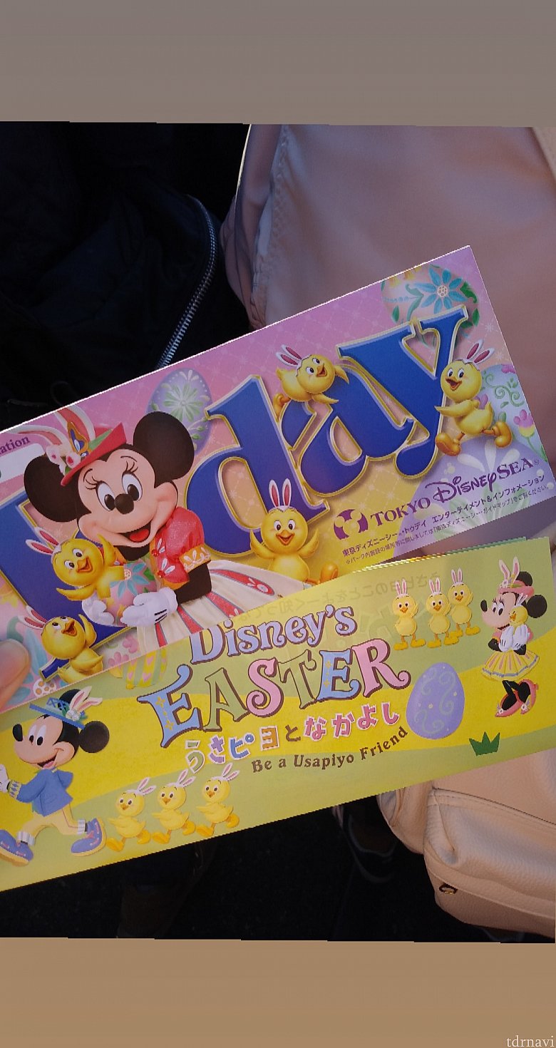 Todayにうさピヨを紹介する紙が挟まってました✨