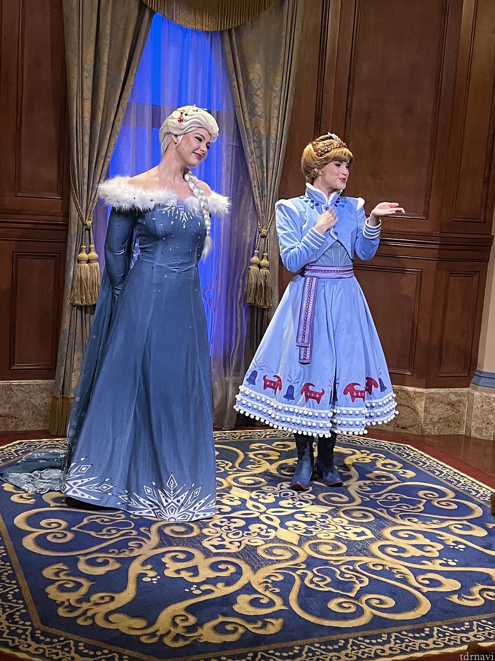 アナ雪家族の思い出バージョン