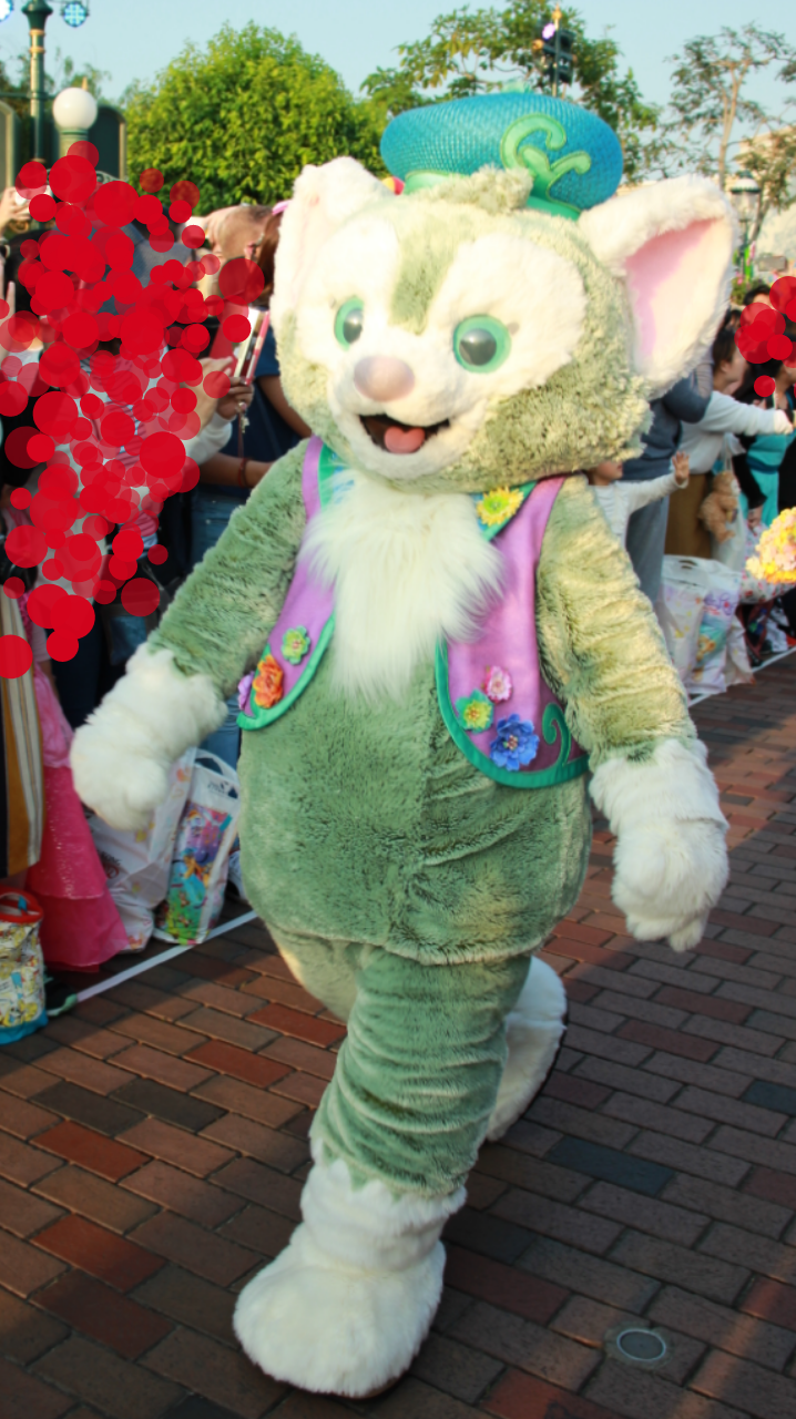 この道はキャラクター(ステラ・ルーが最後)、ダンサーさんが通りきったら、ゲストの場所となります。