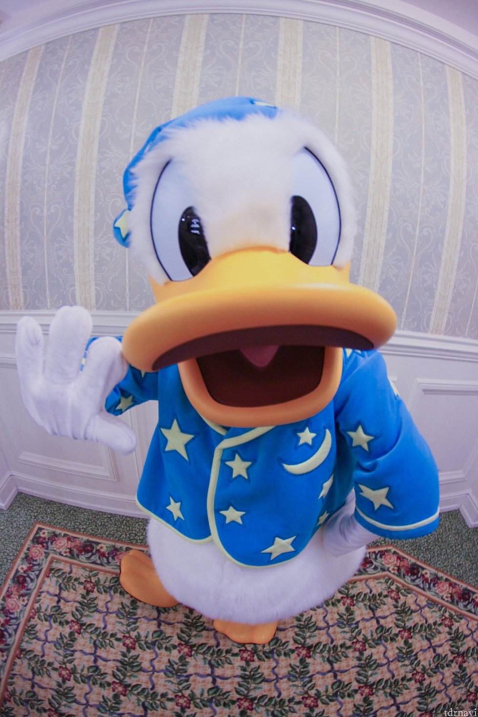 パジャマグリドナルド