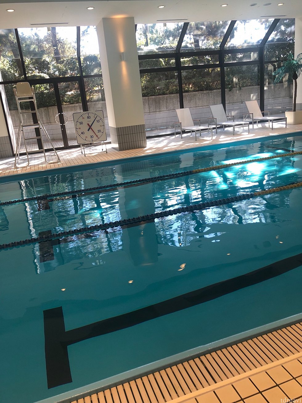 食後の運動は水泳🏊♀️