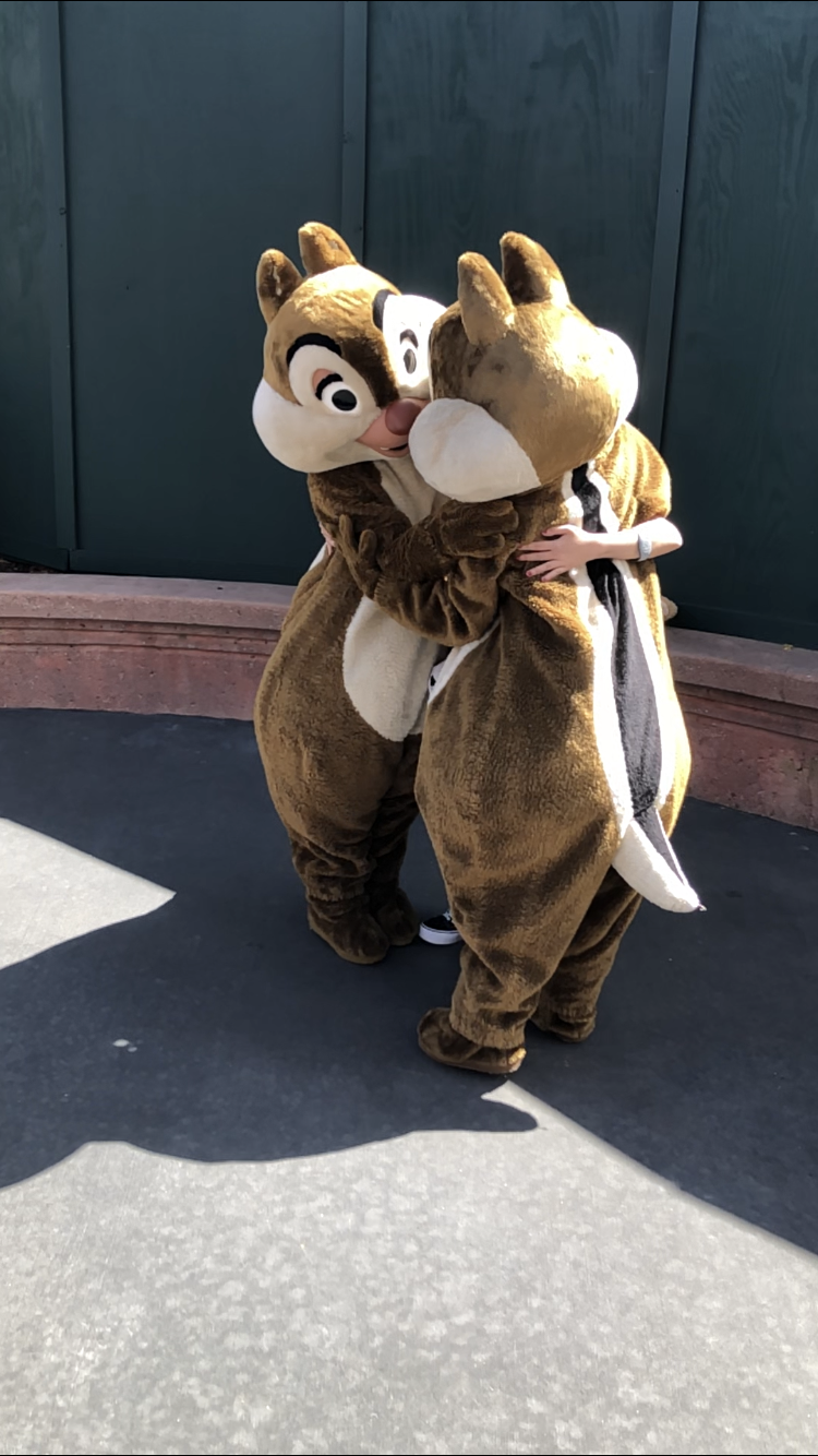 Chip&Dale
ノーマルな格好であるペアグリなのでチデファンは大興奮
近くにレストランがあるので運が良ければ何かが貰えるかも?