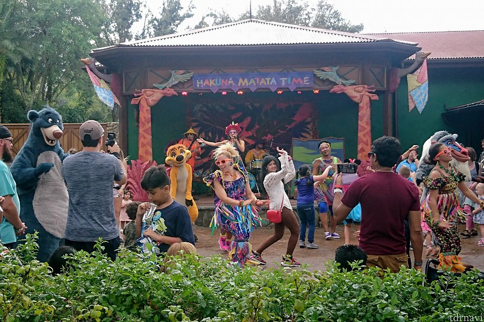 とても自由なダンスパーティー♪
輪になって若干盆踊り風(*^^*)