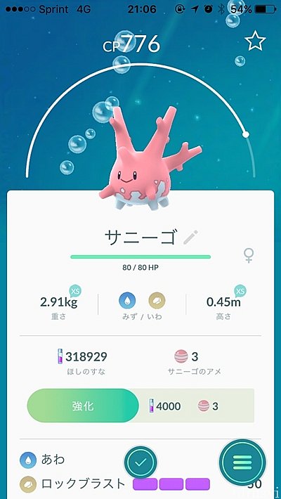 地域限定ポケモン。フォーシーズンズ側に出現したっ!