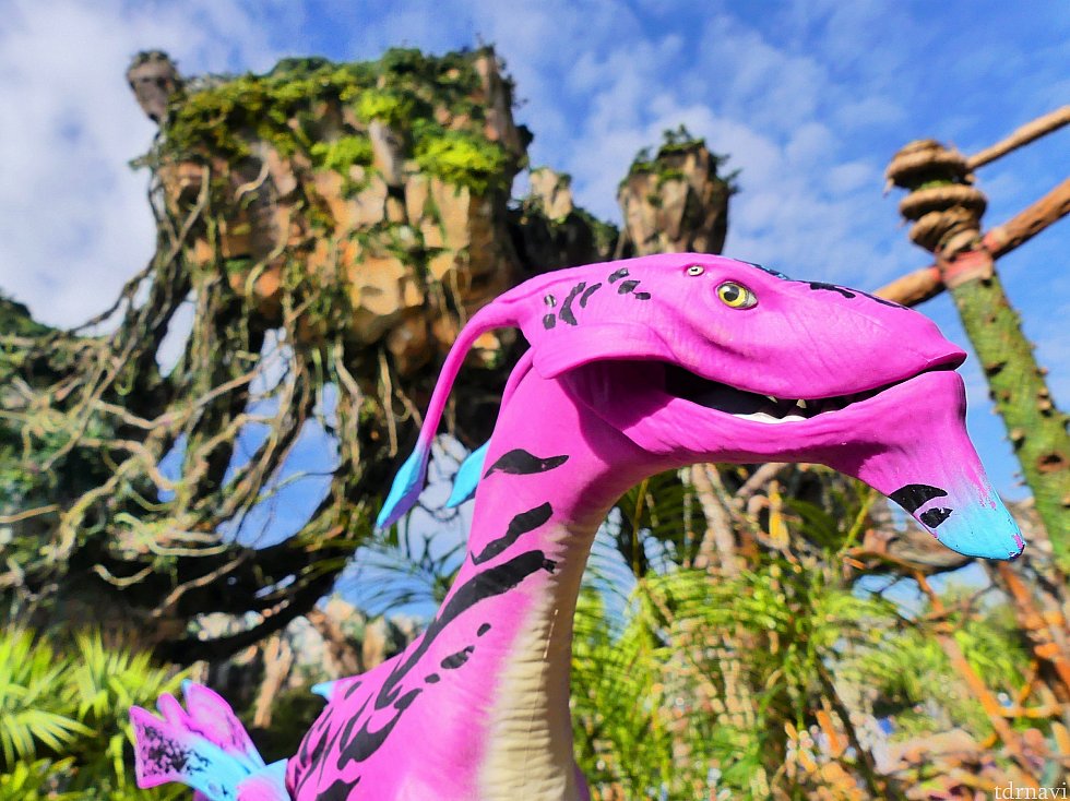 準備ができたらパンドラエリアで写真を撮ってあげましょう。青空と緑あふれるパンドラエリアに映える、素敵なボディーです。