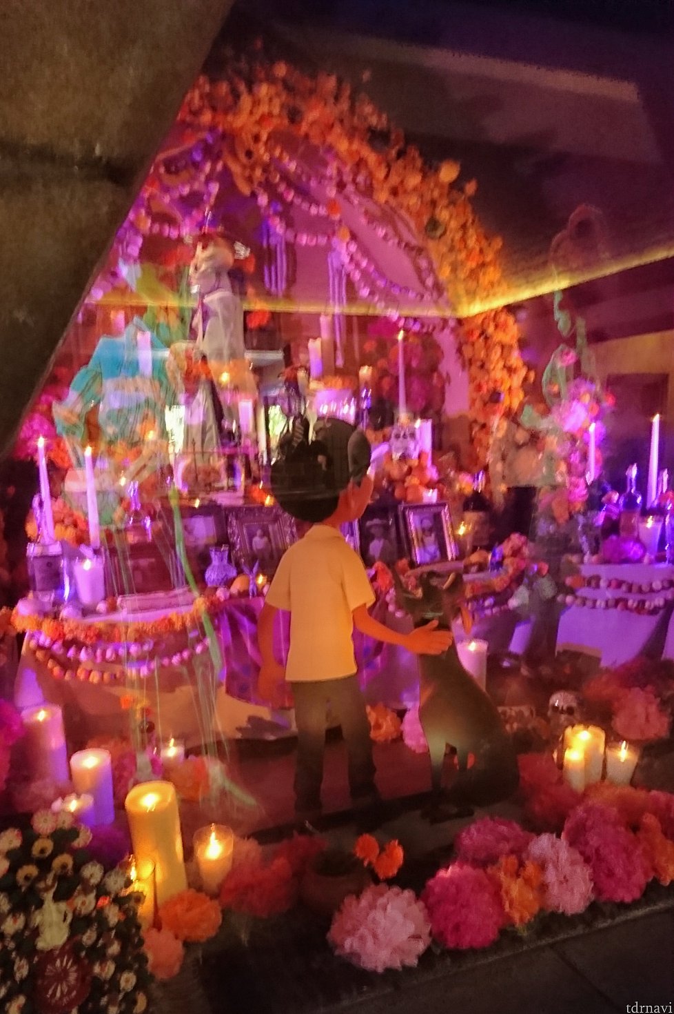 大きな祭壇の展示があるのですが、しばらく見ていると、死者が戻って来るんです!
ぜひこちらもチェックしてみてくださいね♬