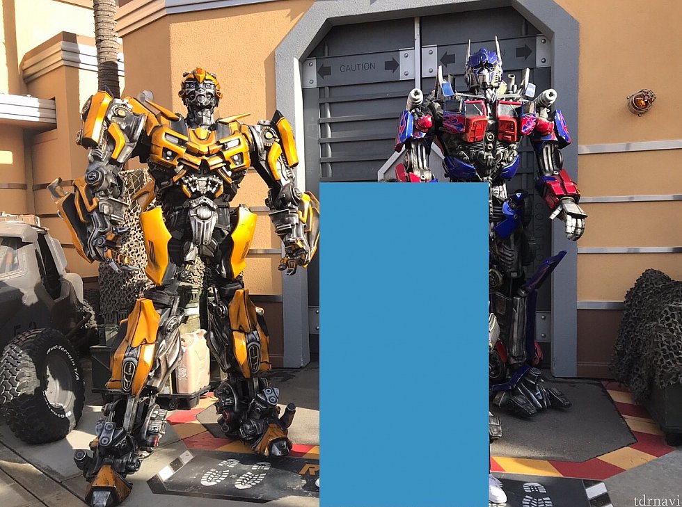 ペアで写真が撮れました!