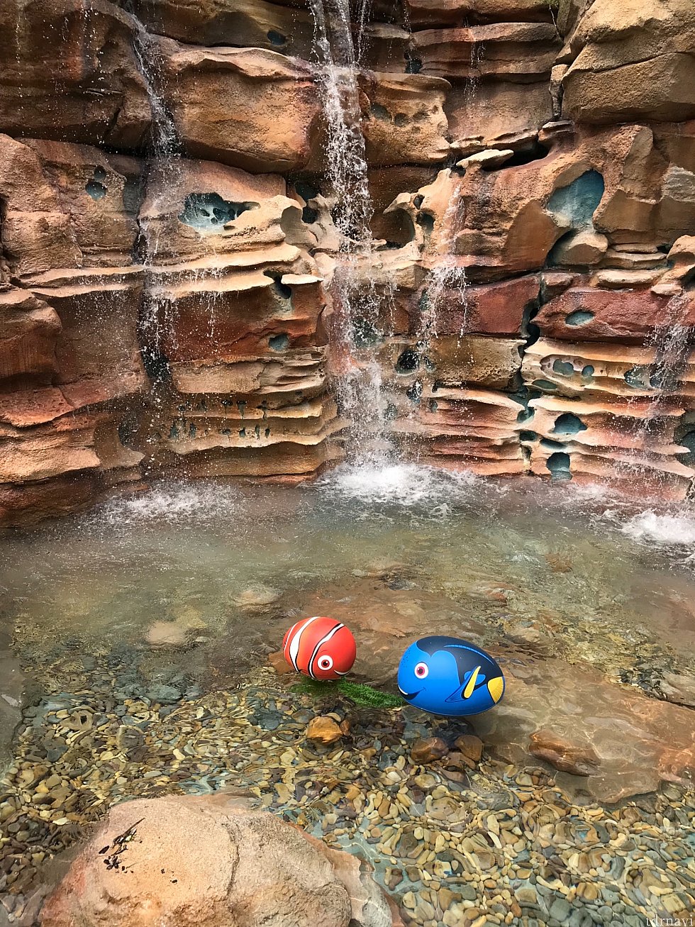ニモ&ドリー