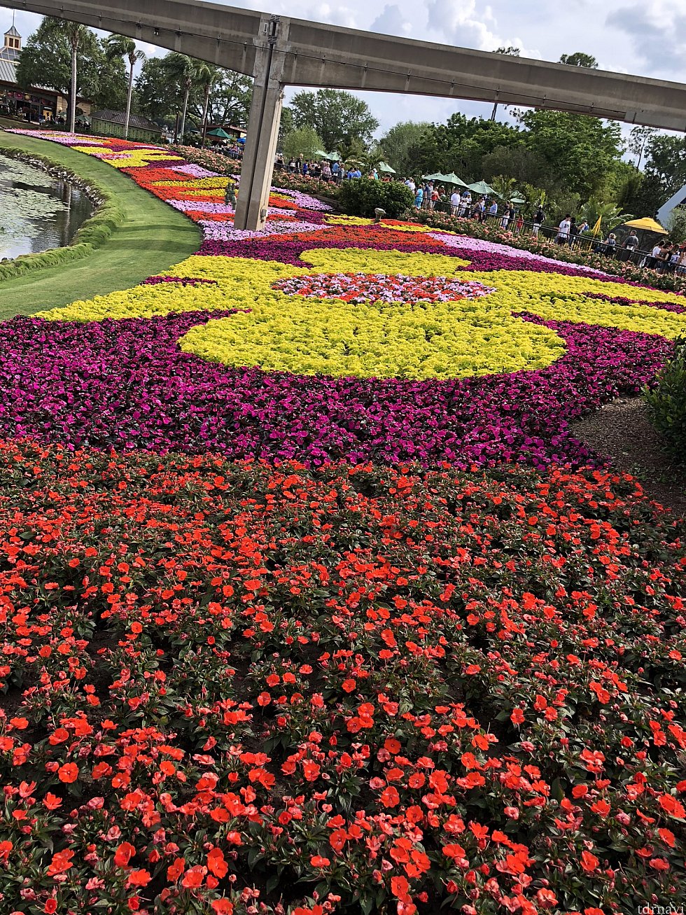 パーク全体が春一色!毎年この花壇の奇麗さには圧倒されます。