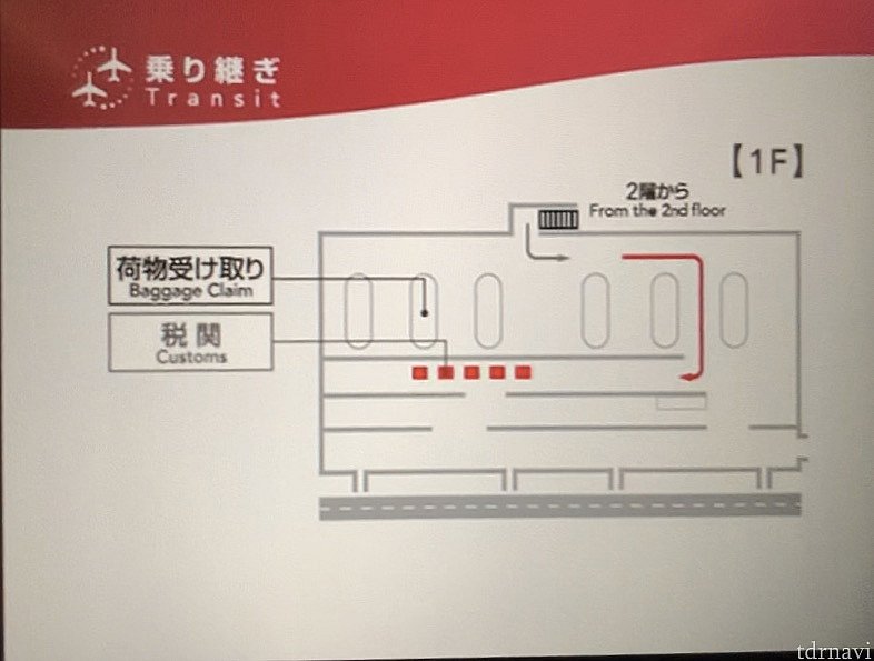 でたらすぐ税関です
