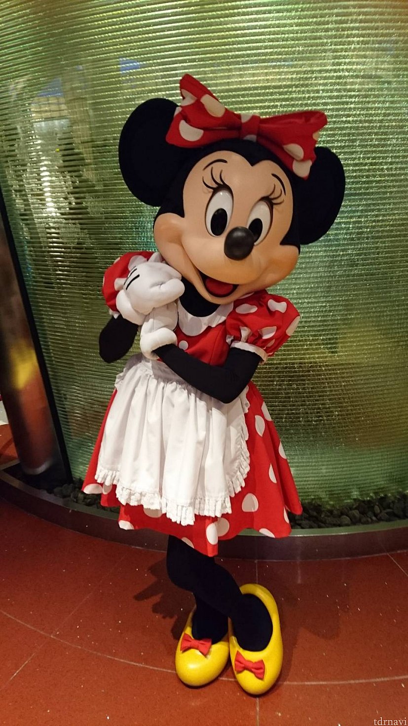 入ってすぐにグリーティングしていたミニーちゃんにお出迎えされました♪