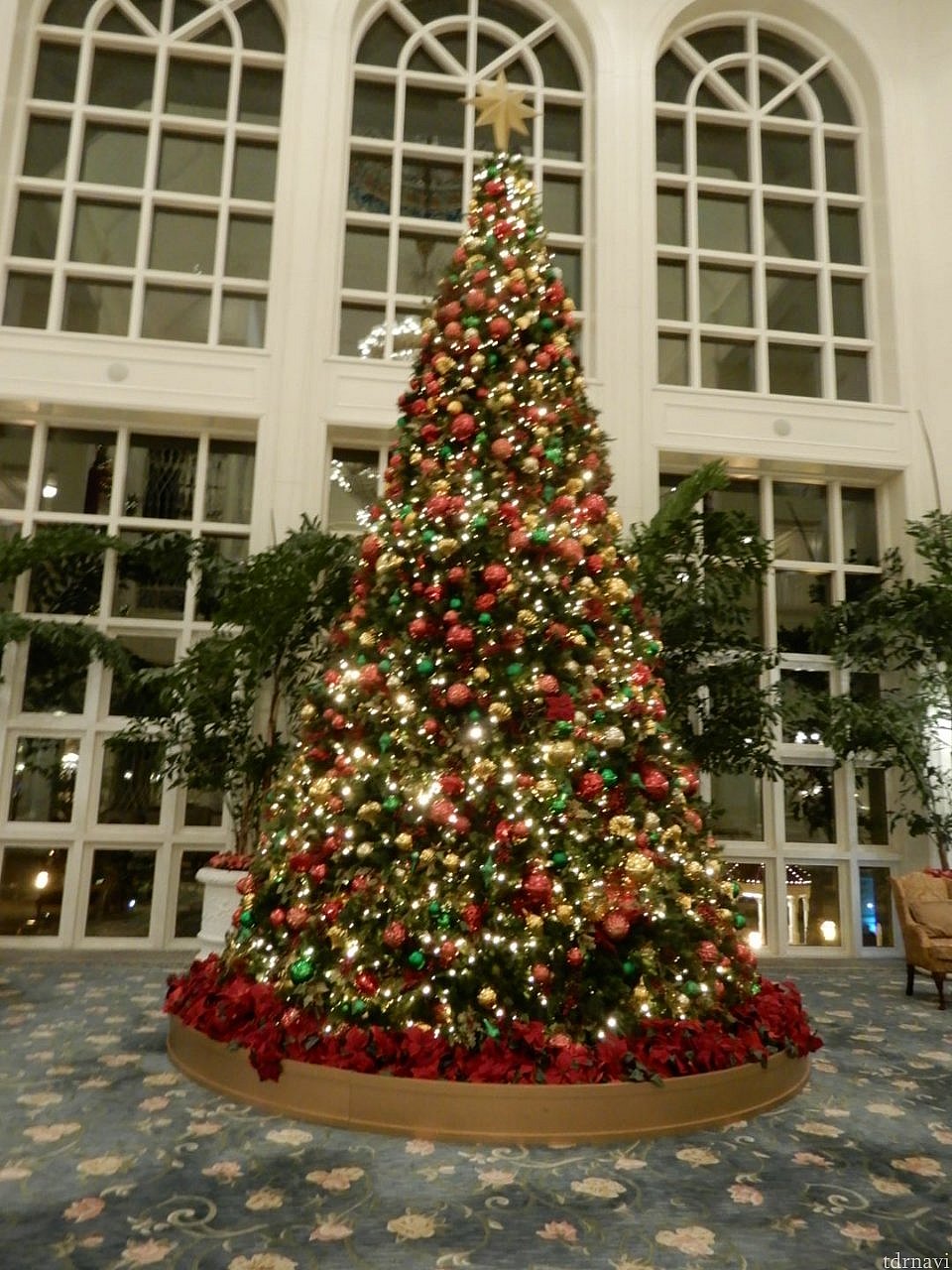 おっきなクリスマスツリー🎄