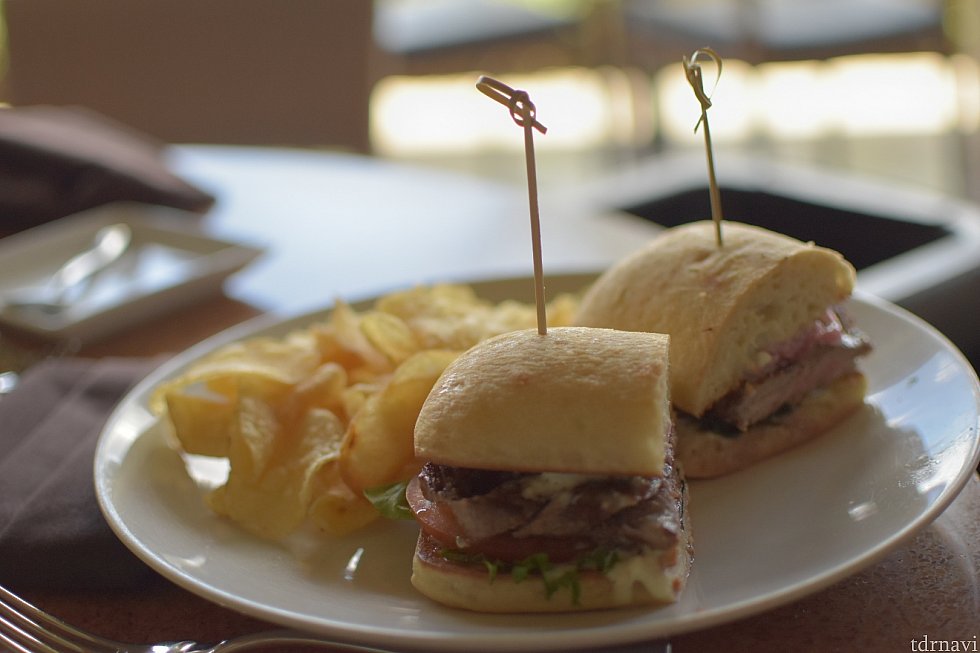 ポテトチップスが添えられてるあたりアメリカですね笑