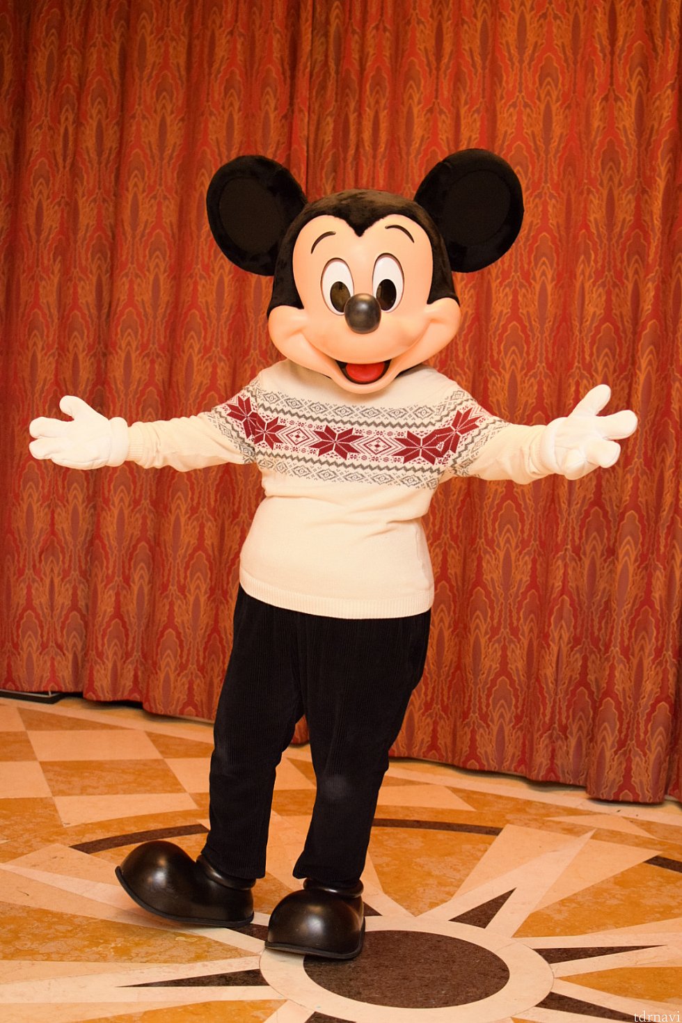 お腹まわりがポコッとしているのが愛しいです♡