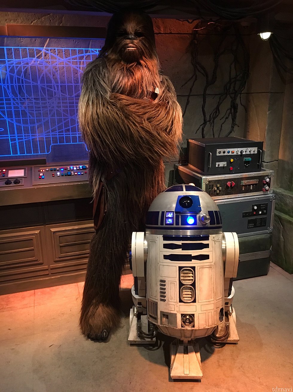 トゥモローランドでチューバッカ&R2-D2。チューバッカはもう出てこない時間だったはずなのに出てきてくれた!またしてもラッキー