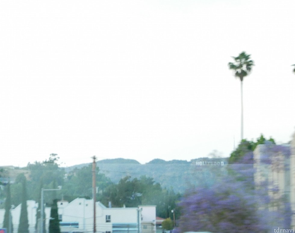 帰り道ちらりと見えた「HOLLYWOOD」の文字!
乗り継ぎもなく快適なバスで良かったです。