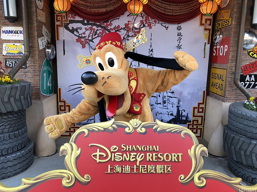 今年の主役、財神プルート!首輪には赤い袋が