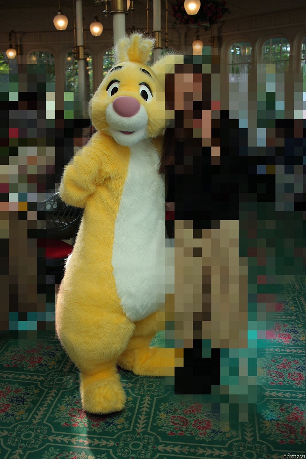 うさたまに出てるよと教えてくれたラビット✨