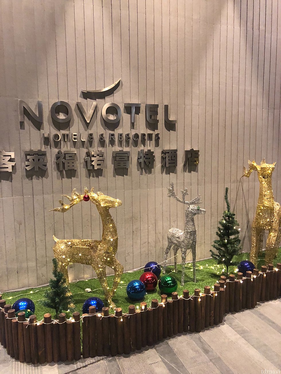 クリスマスの飾り付けがされていました🎄