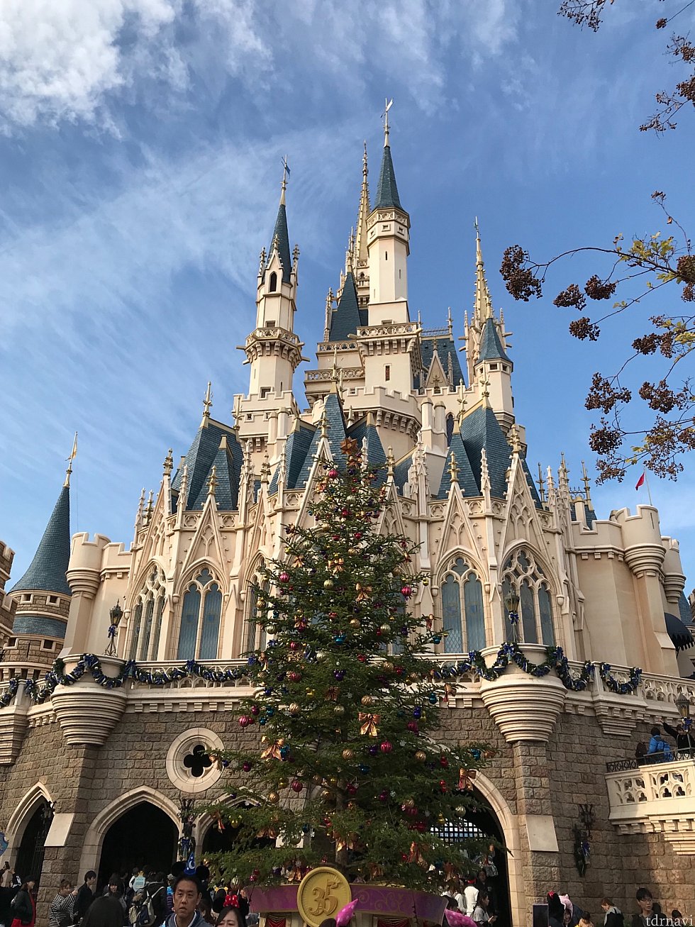 シーを後にしてランドへ。
今年のクリスマスツリー。シンデレラ城の裏側です。