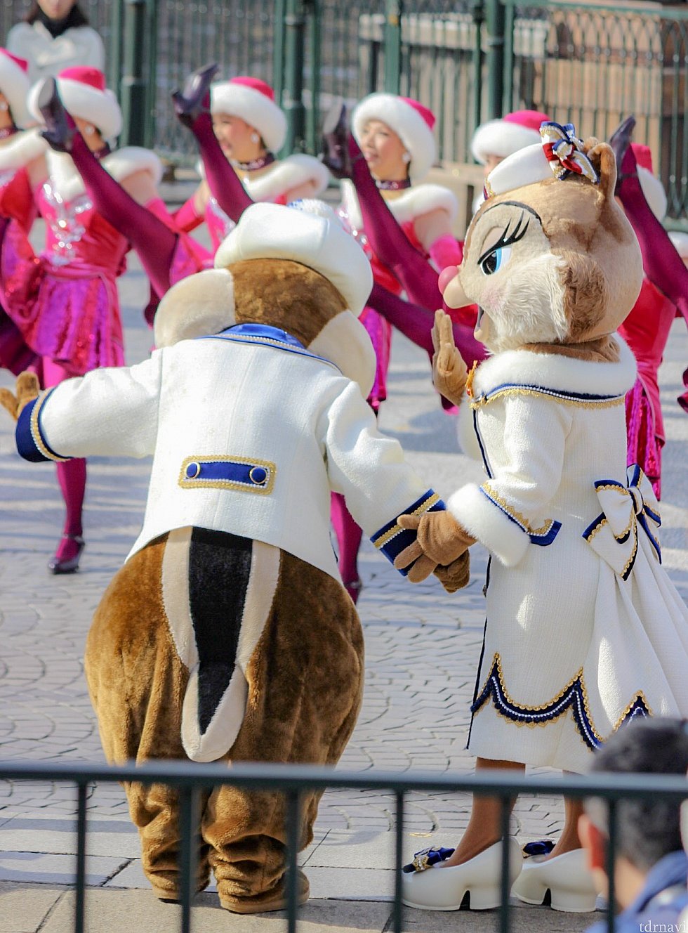 ラインダンスへのお誘いかな?