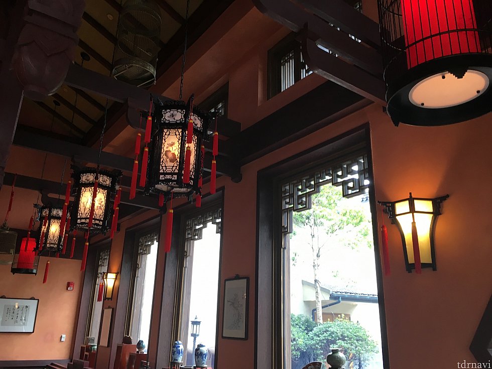 本格的!