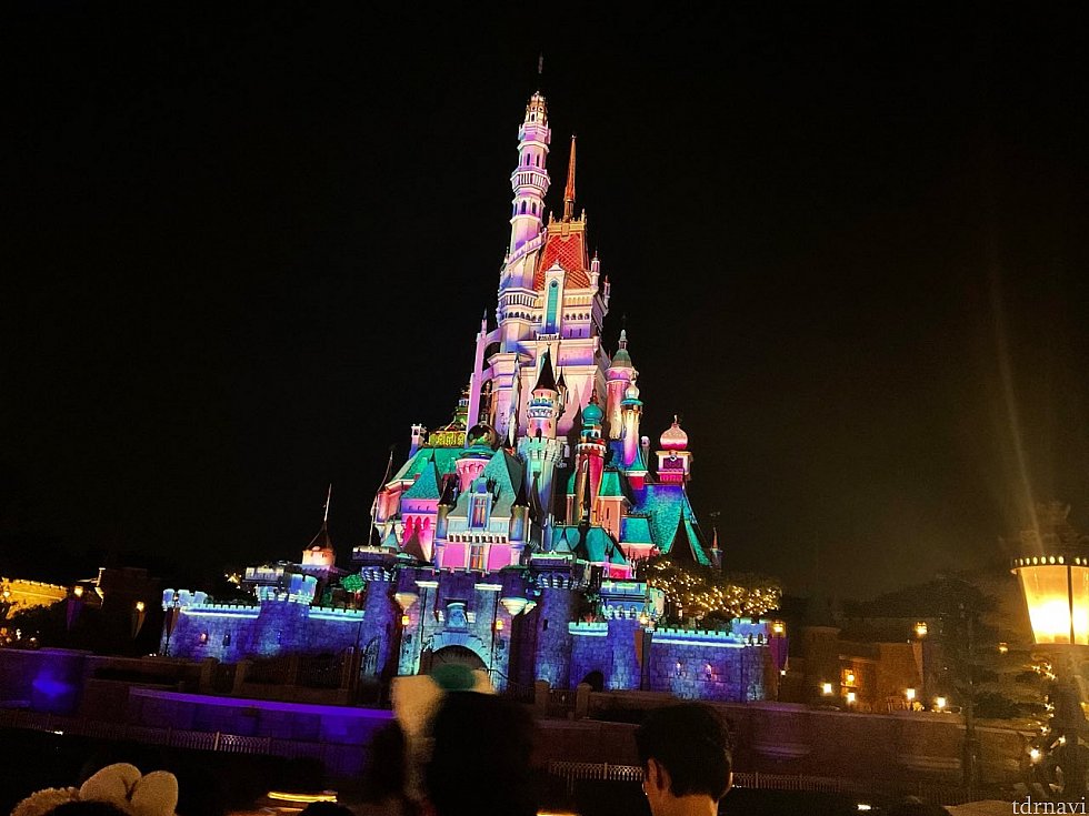 スタート5分前の様子。前から3列目くらいです