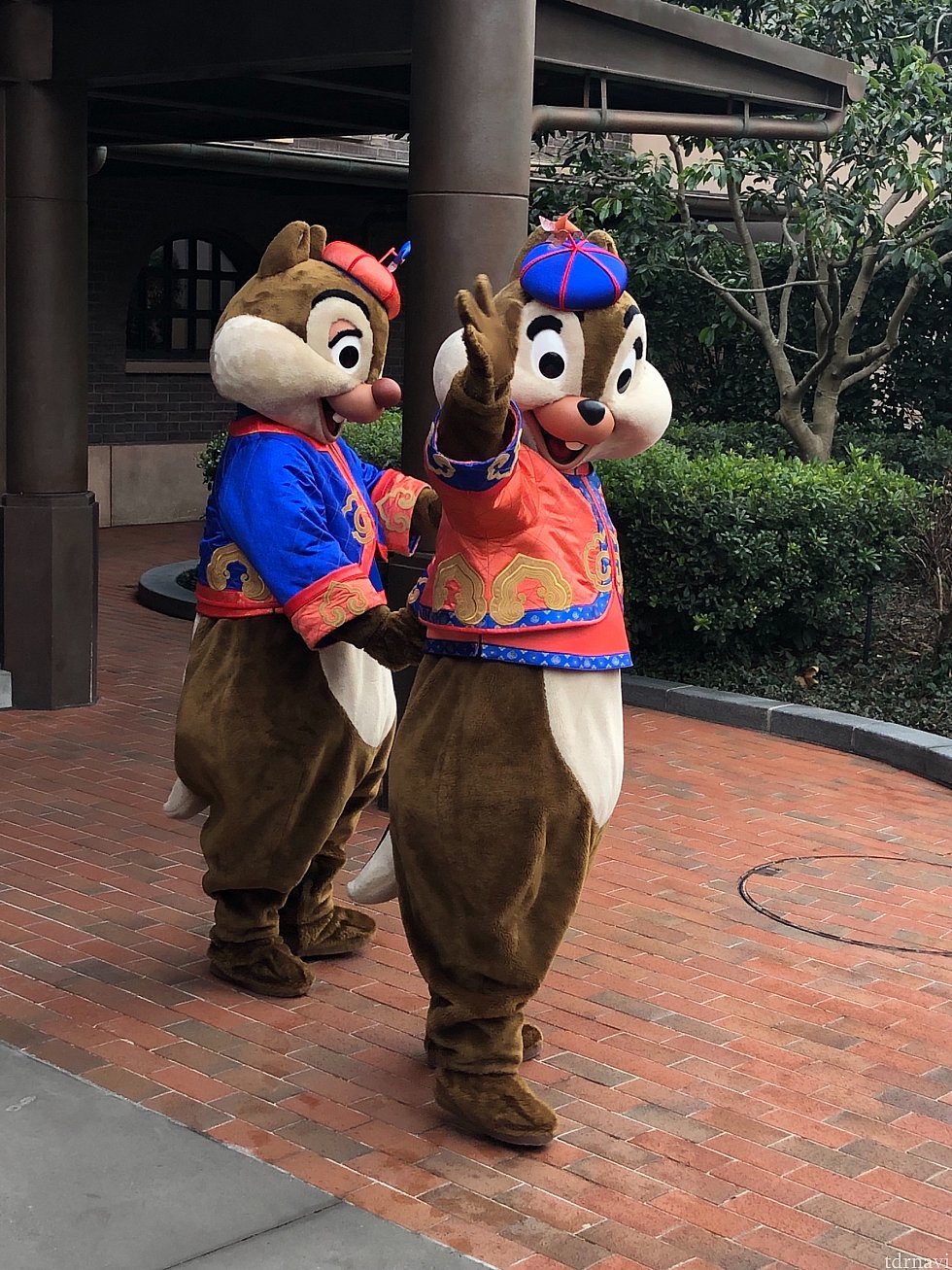 バイバイ👋