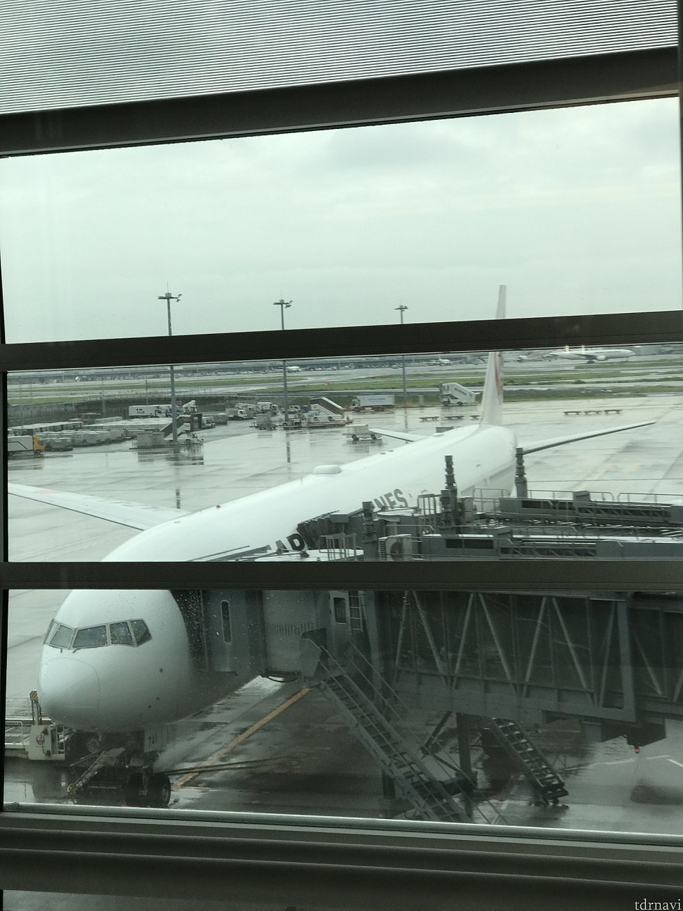羽田発のパリ行き飛行機。
777です。