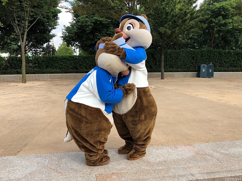 なぜかラブラブ!?
柵でがっつり仕切ってあるので、参加者やギャラリーは近付けません。