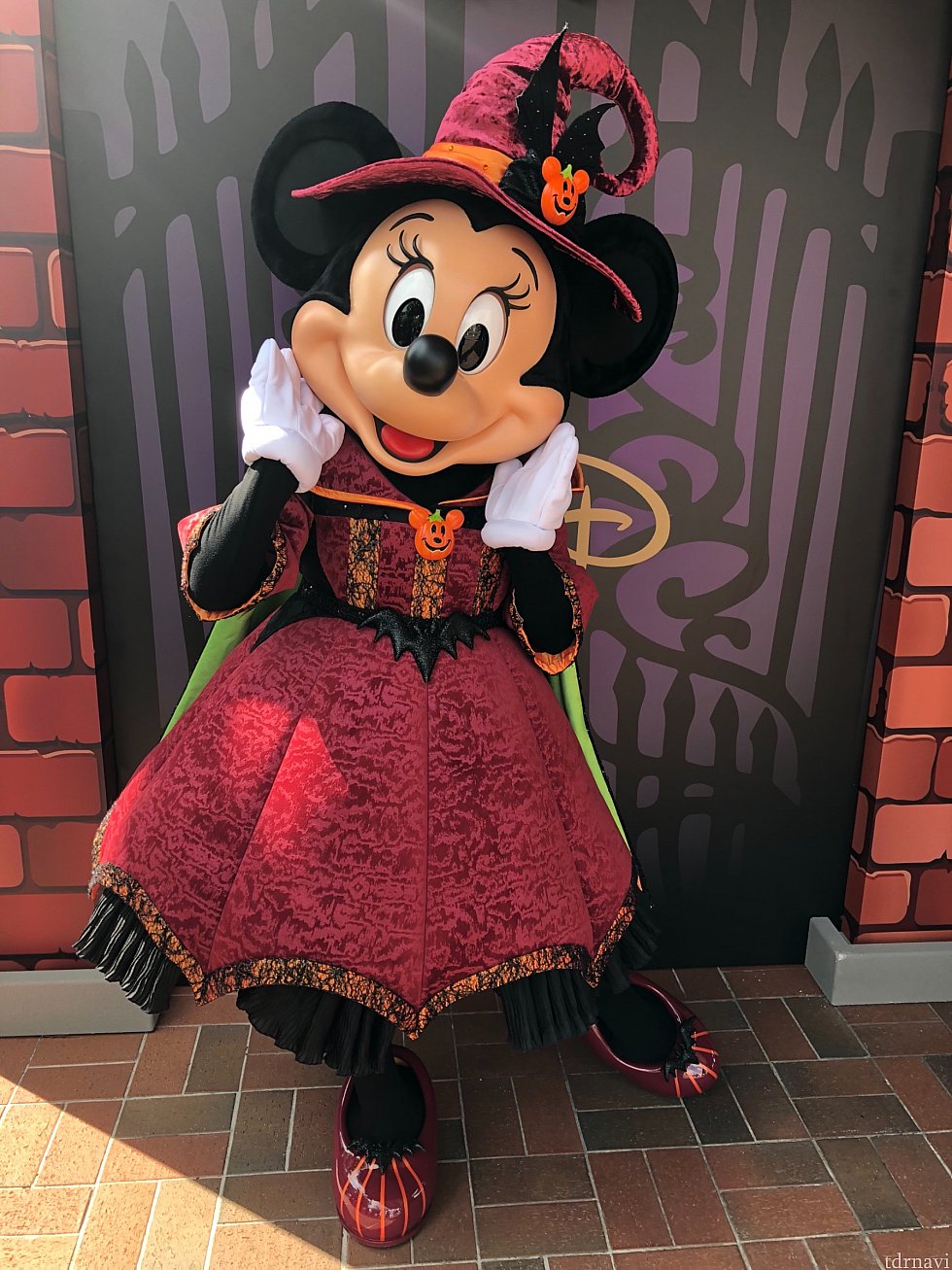 ミキミニのペアに並ぶも、お直し後戻って来たのはミニーちゃんのみ。
ミニーちゃんの魔女コスもシックでとっても素敵♡
9:15にグリ(20分待ち)
