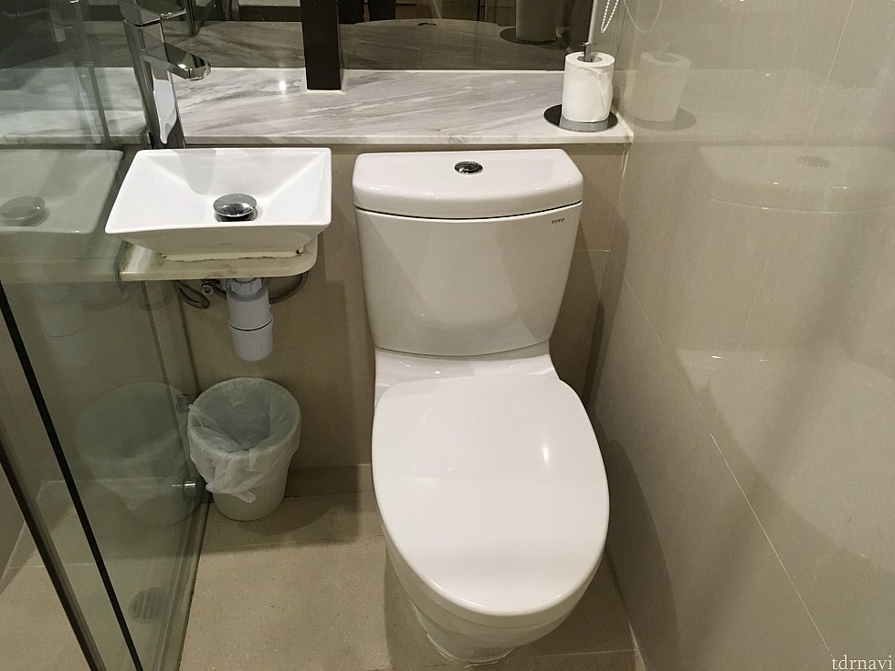 トイレと洗面台は隣り合わせ。左がシャワールームなのですが…、