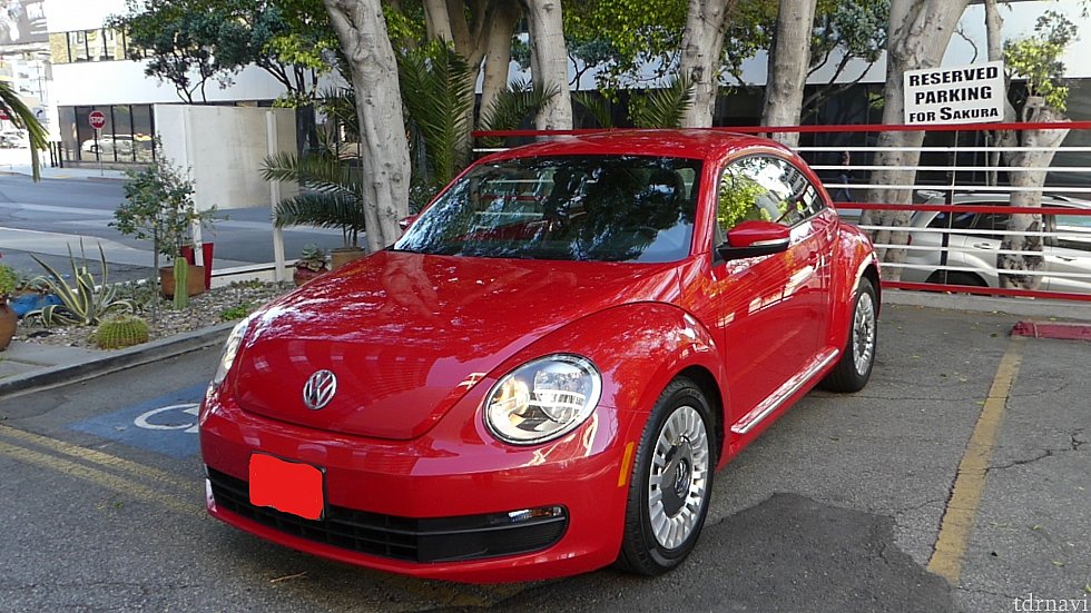 日本では運転する機会のない車種を選択、派手さがいいですね
