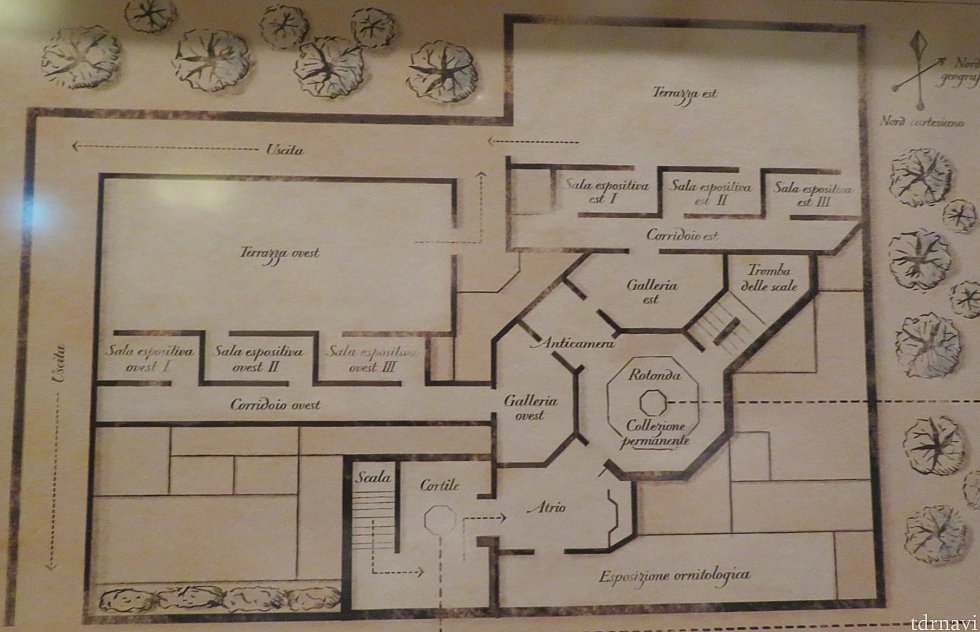 これが建物の間取り図