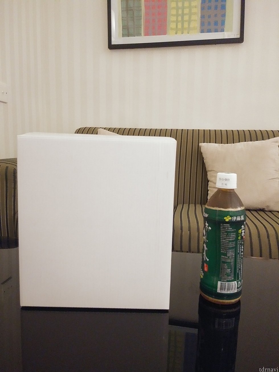 【サイズ】横から見た写真
箱に入ると500mlのペットボトルより大きい!
ホテルで荷物と格闘しました💦