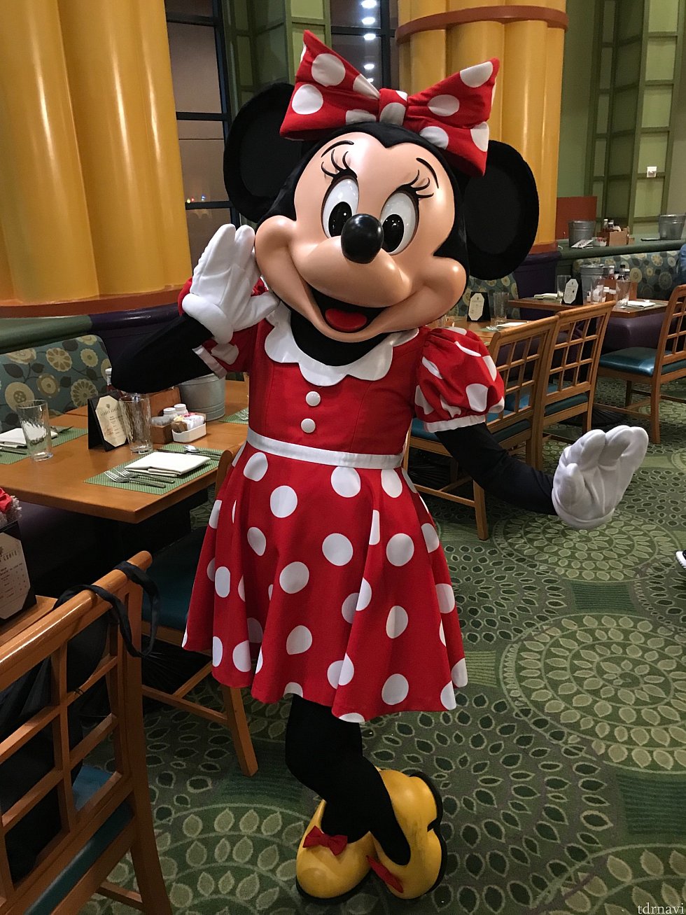 ミニーちゃん
来ると思ってなかったので
嬉しい
予想を裏切るサプライズ❣️